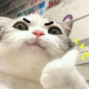 Meet your Posher, Matthieu